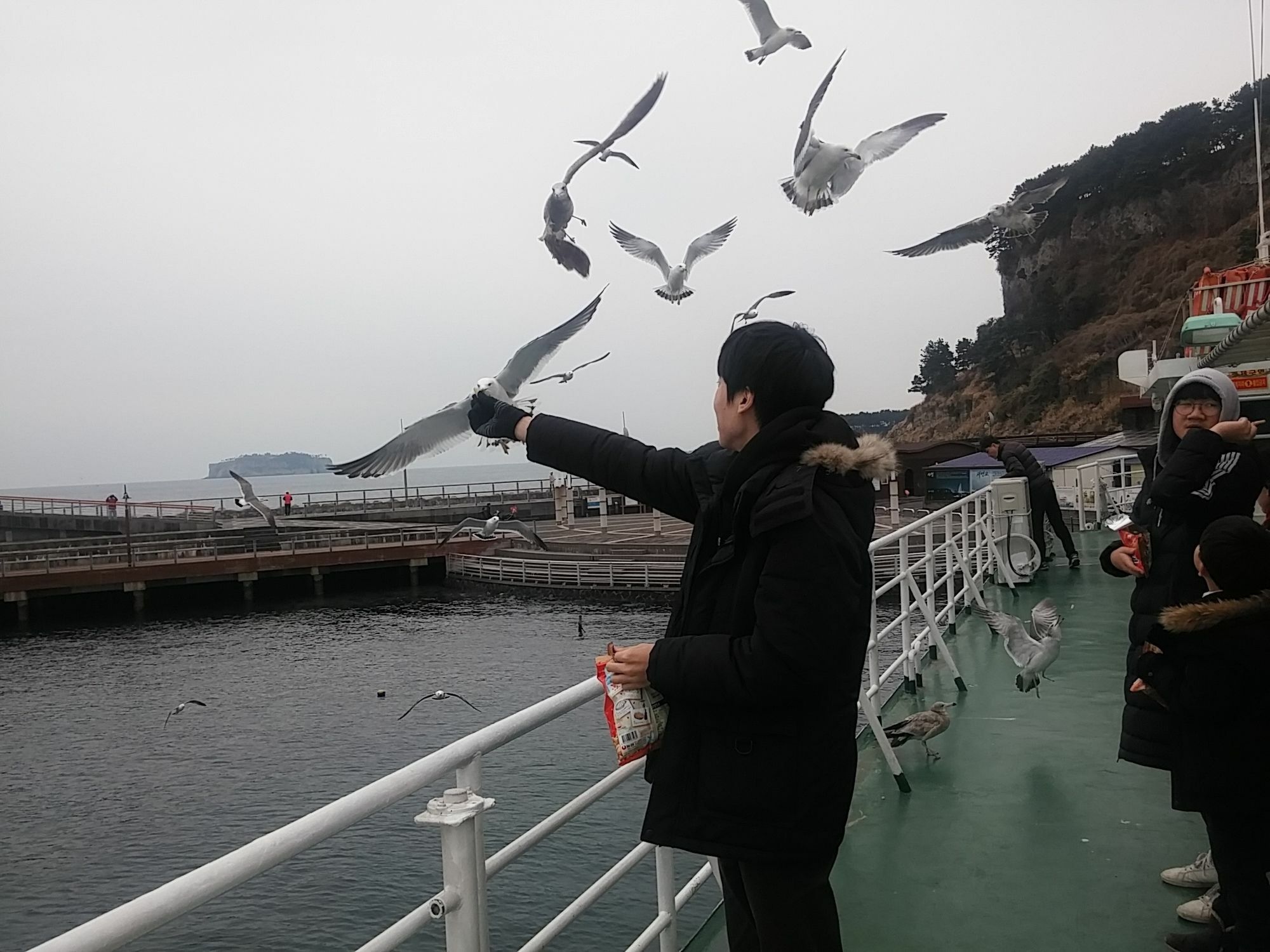 Seom Story Pension Seogwipo Dış mekan fotoğraf